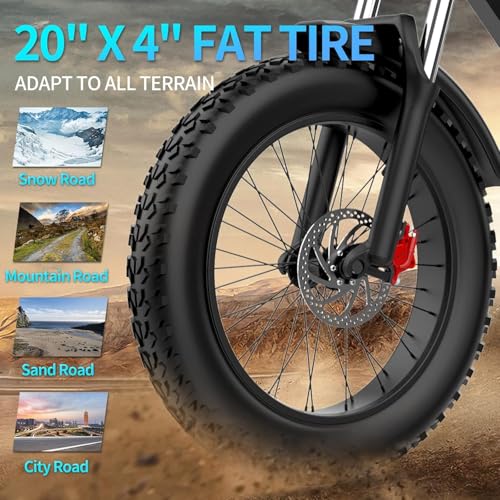 1000/2000W 20" Fat Tire 7-Speed Electric Bike W532