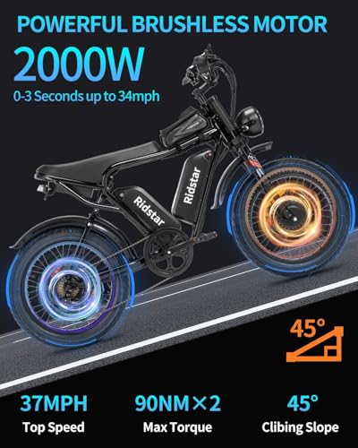 1000/2000W 20" Fat Tire 7-Speed Electric Bike W532