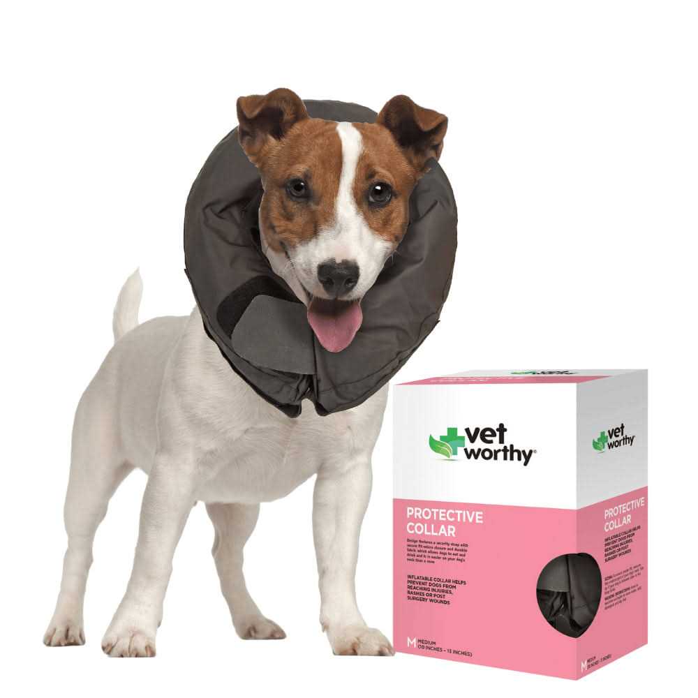 Inflatable Protective Dog Collar P699535