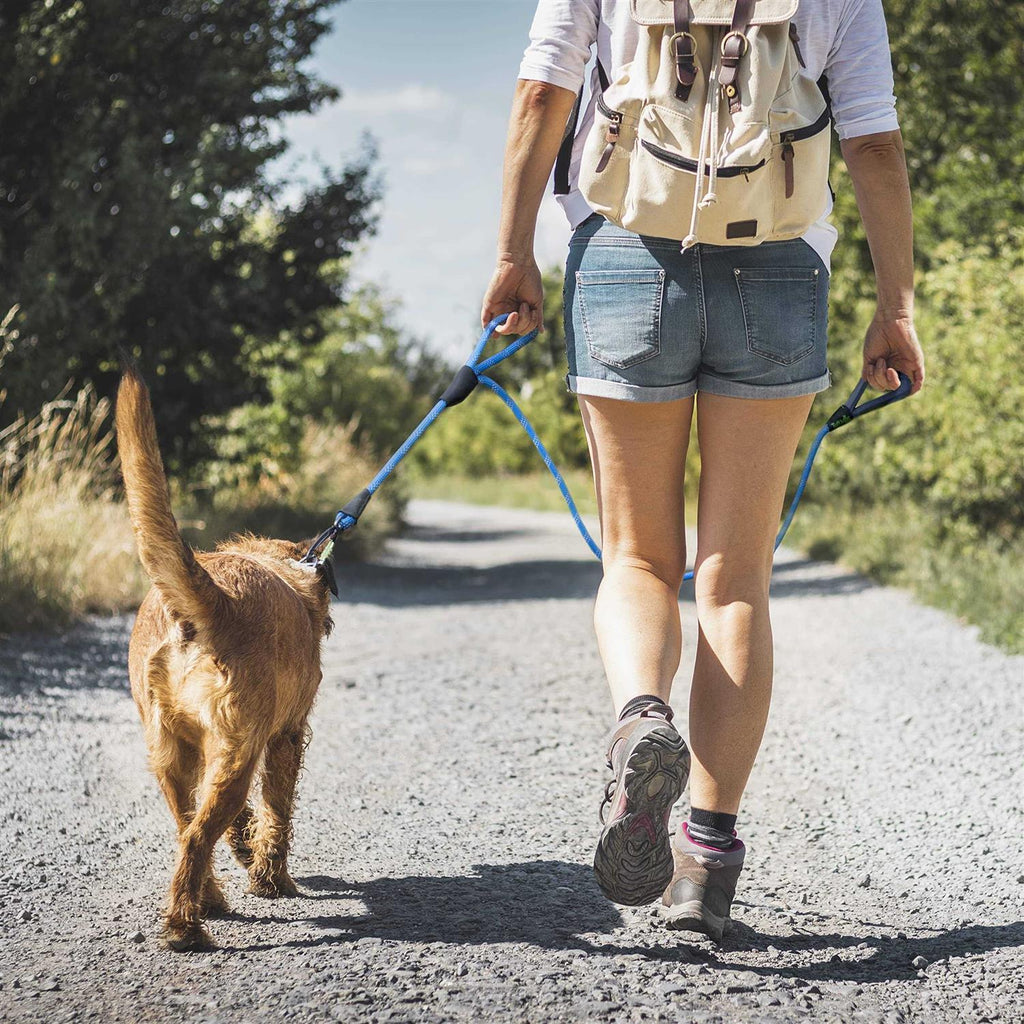 Dog Rope Leash D10165
