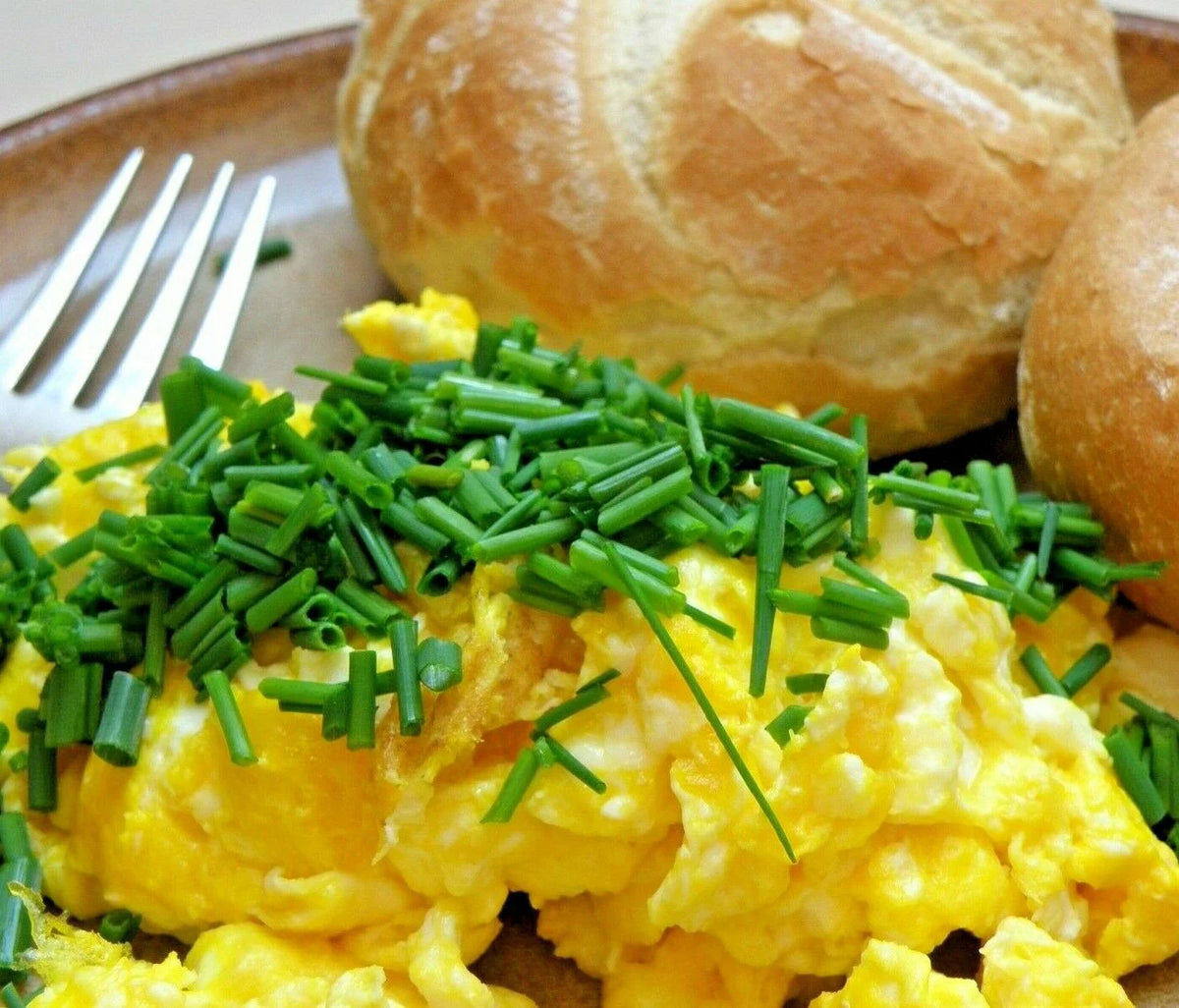 1 Pound (16 oz) Whole Powdered Eggs J122444