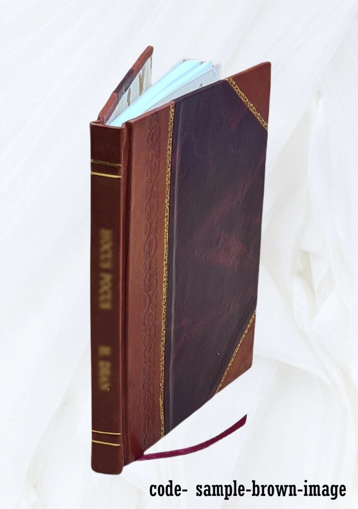 1922 Leather Bound Annual Report E5679