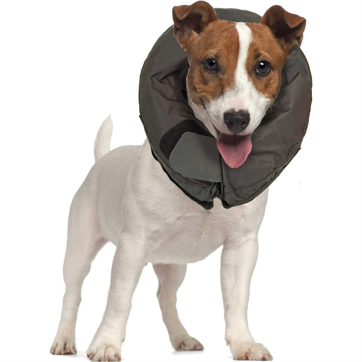 Inflatable Protective Dog Collar P699535