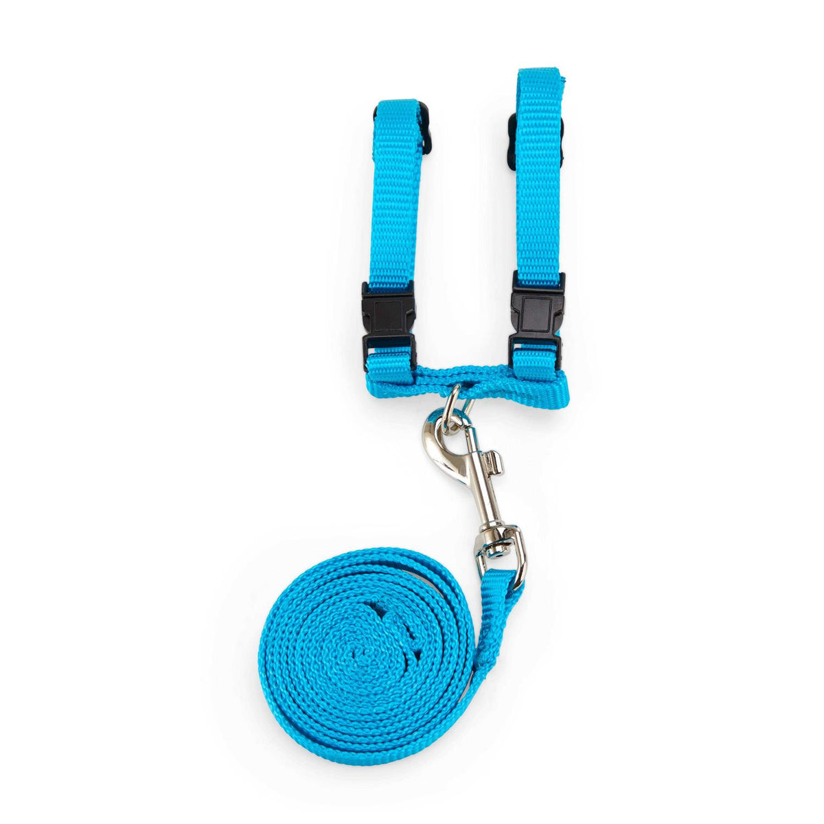 Ferret Harness & Lead S79882