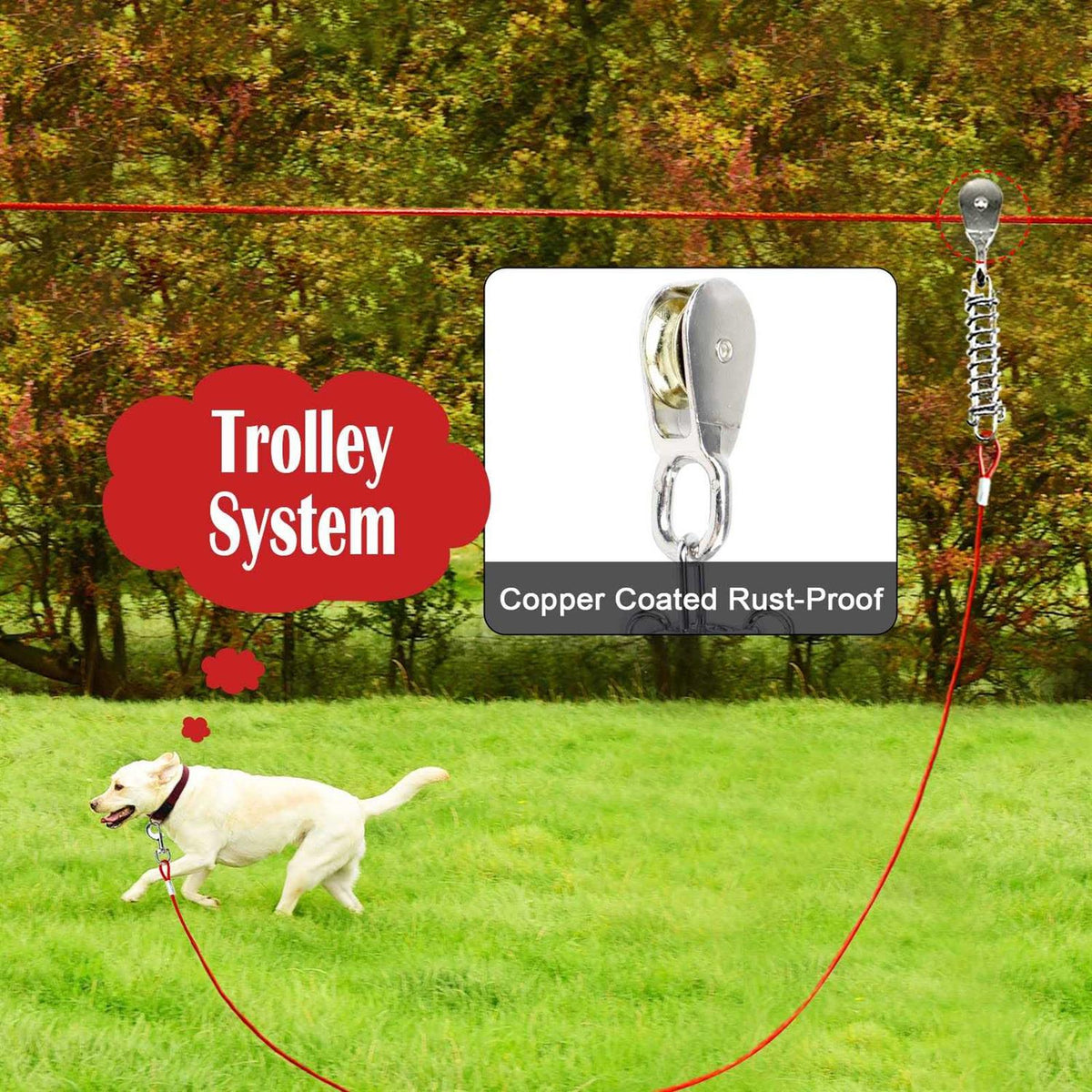100FT Dog Tie Out Cable H177