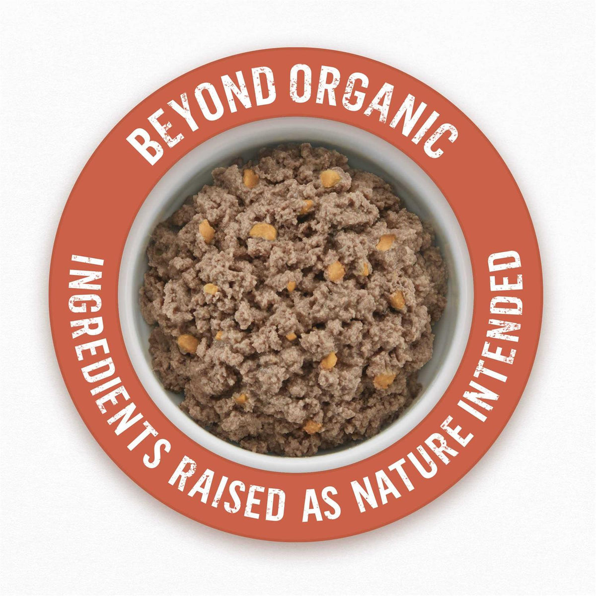 Organic Chicken Recipe Wet Dog Food E577