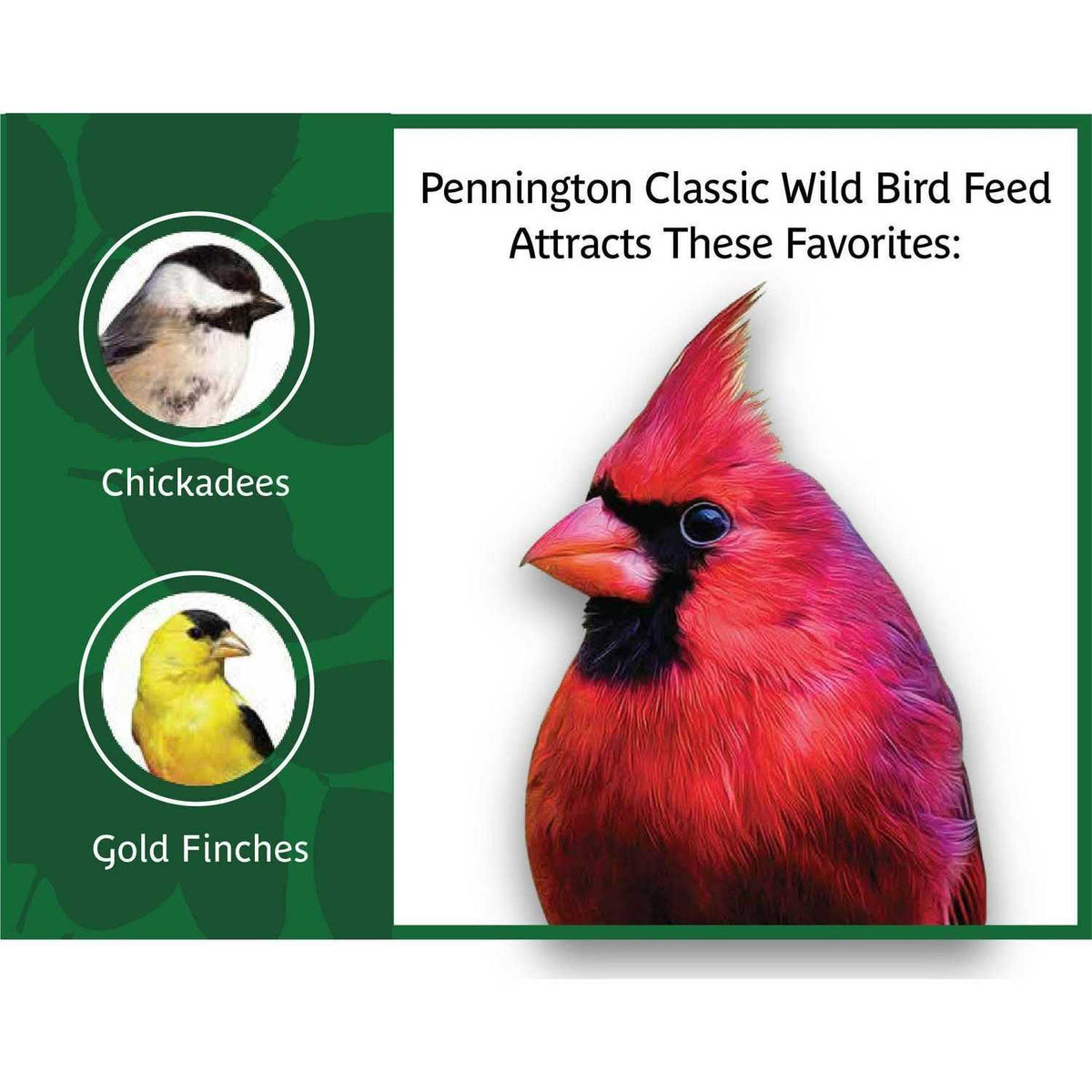Wild Bird Feed and Seed D695439