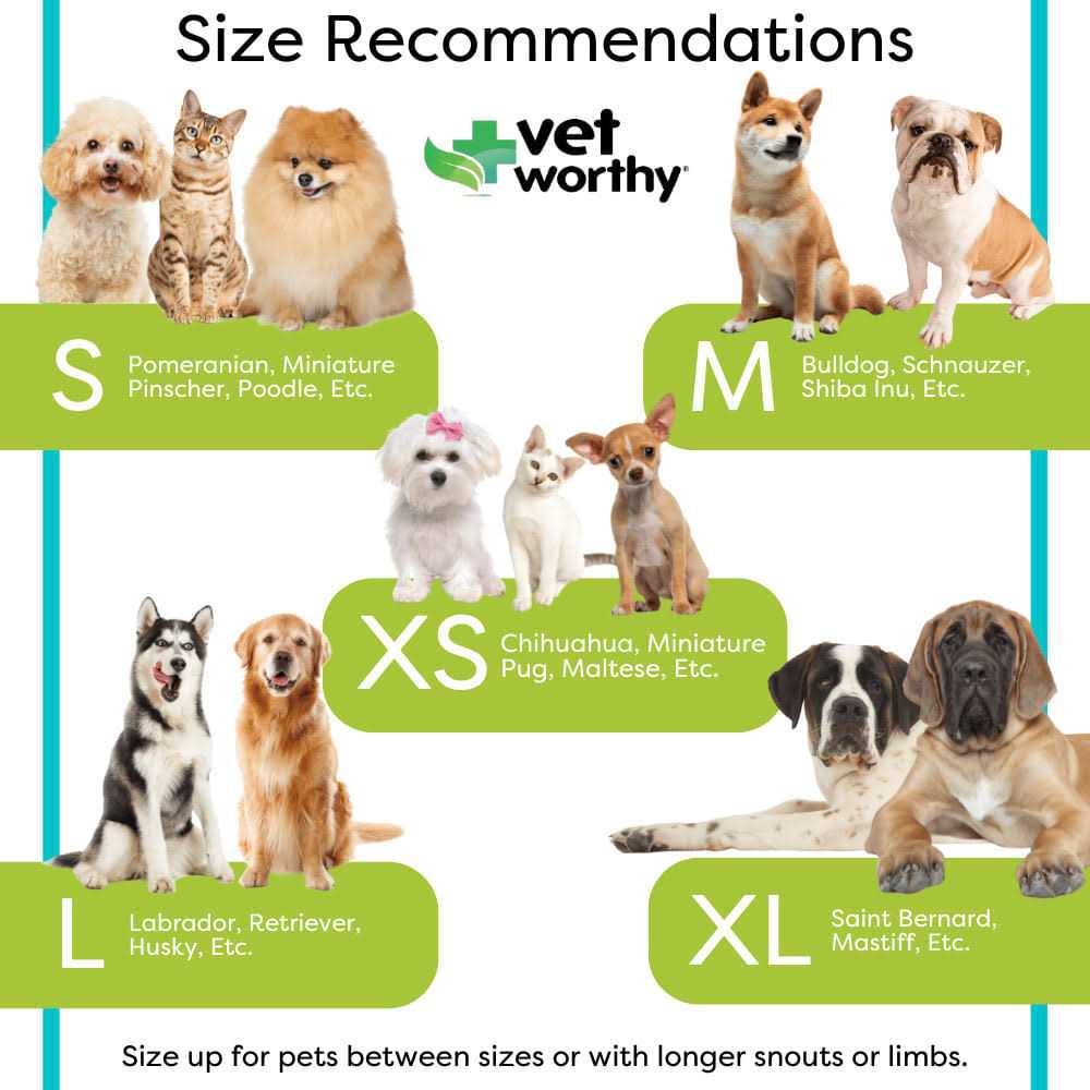 Inflatable Protective Dog Collar P699535