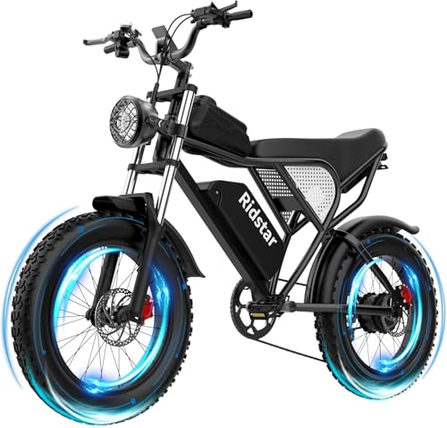 1000/2000W 20" Fat Tire 7-Speed Electric Bike W532