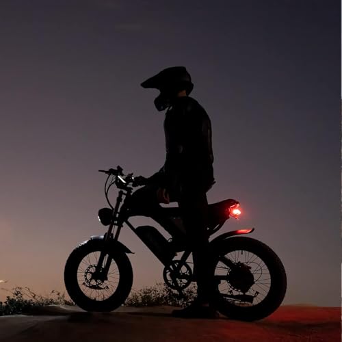 1000/2000W 20" Fat Tire 7-Speed Electric Bike W532