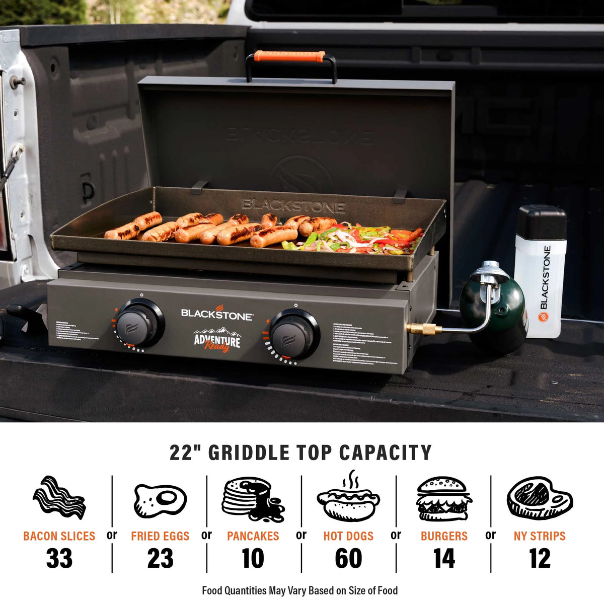 2-Burner Propane Griddle with Hard Cover N828