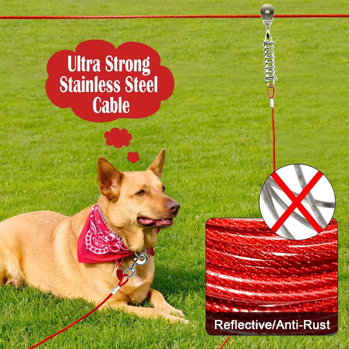 100FT Dog Tie Out Cable H177