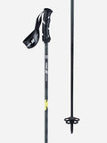 Ski Poles A1697