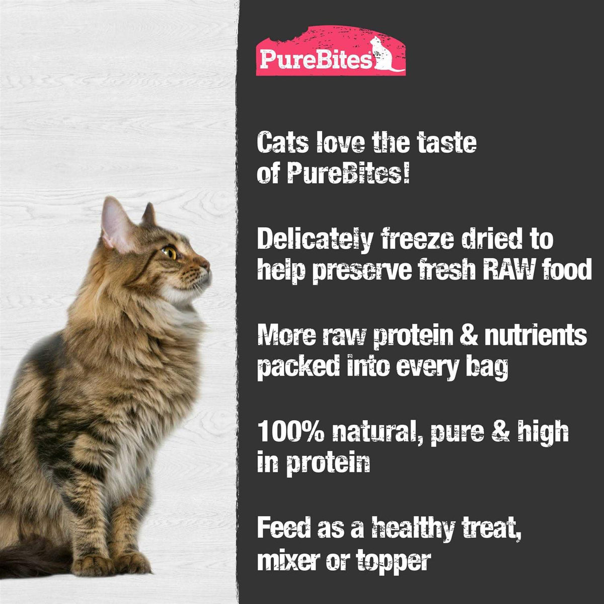 Freeze Dried Shrimp Cat Treats I8991