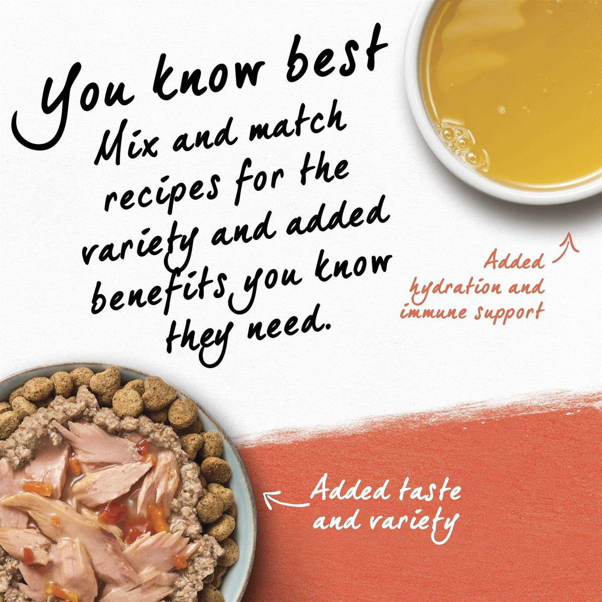 Organic Chicken Recipe Wet Dog Food E577