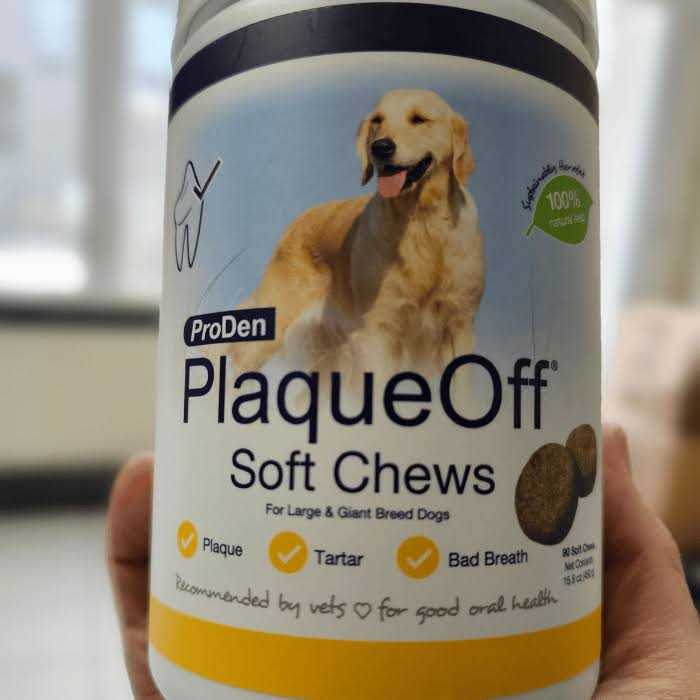 Soft Chews Large & Giant Breed Dogs Y93118