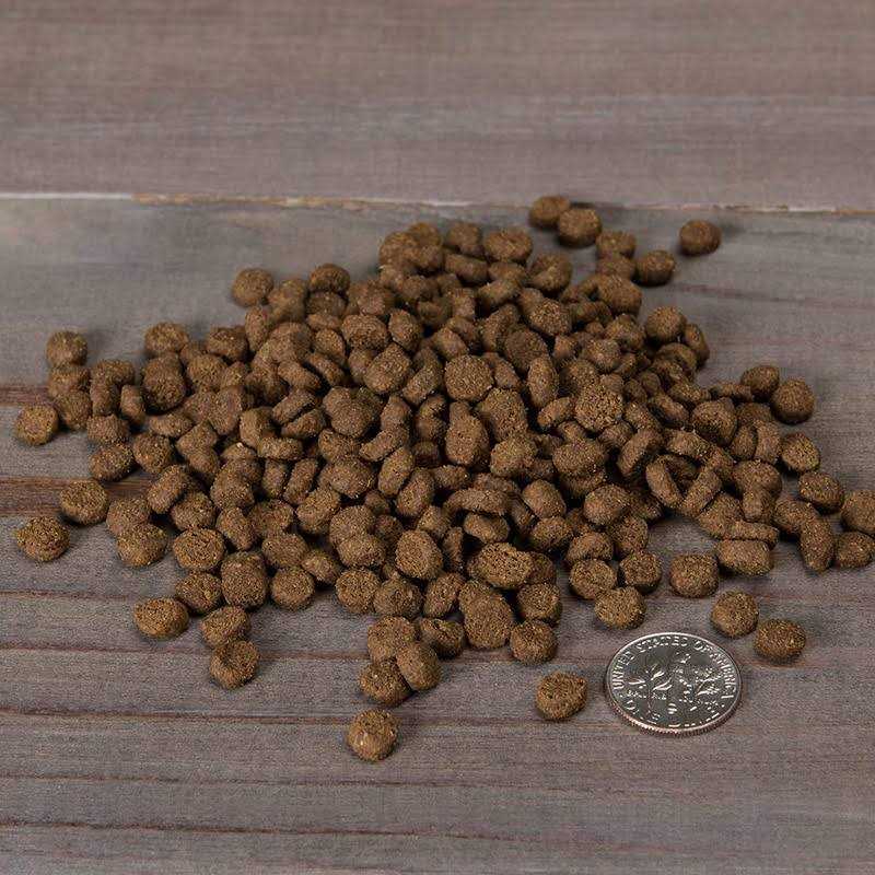 Grain Free Chicken & Cod Dry Cat & Kitten Food B990558