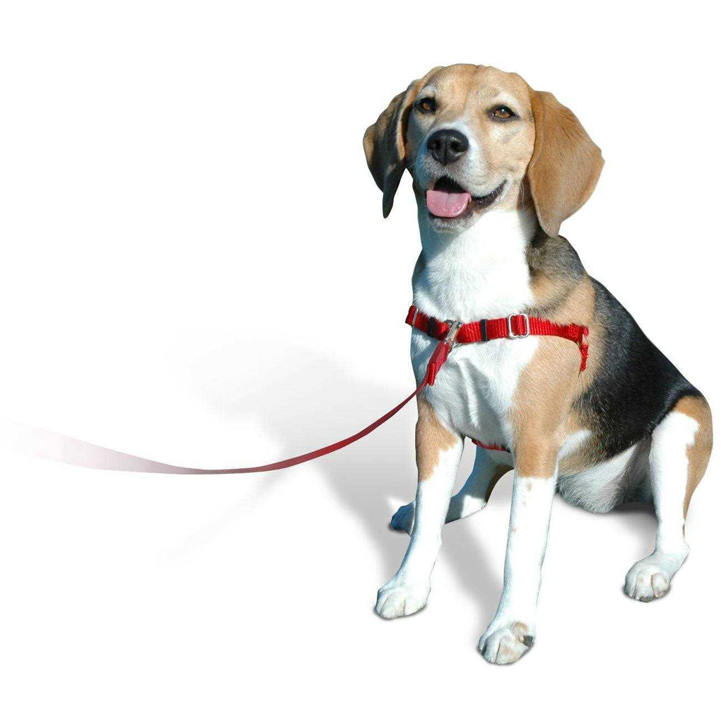 No Pull Dog Harness Z76522