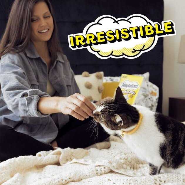 Adult Cat Treats O89888