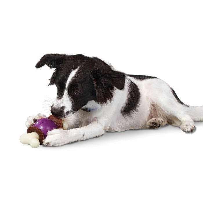 Bouncy Bone P9212