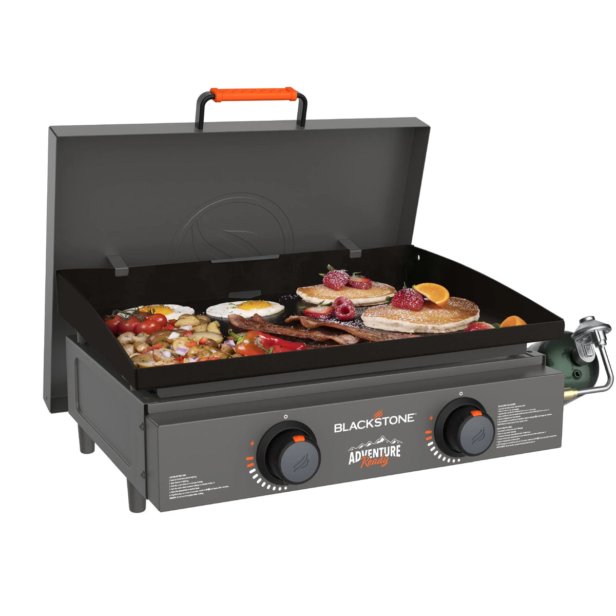 2-Burner Propane Griddle with Hard Cover N828