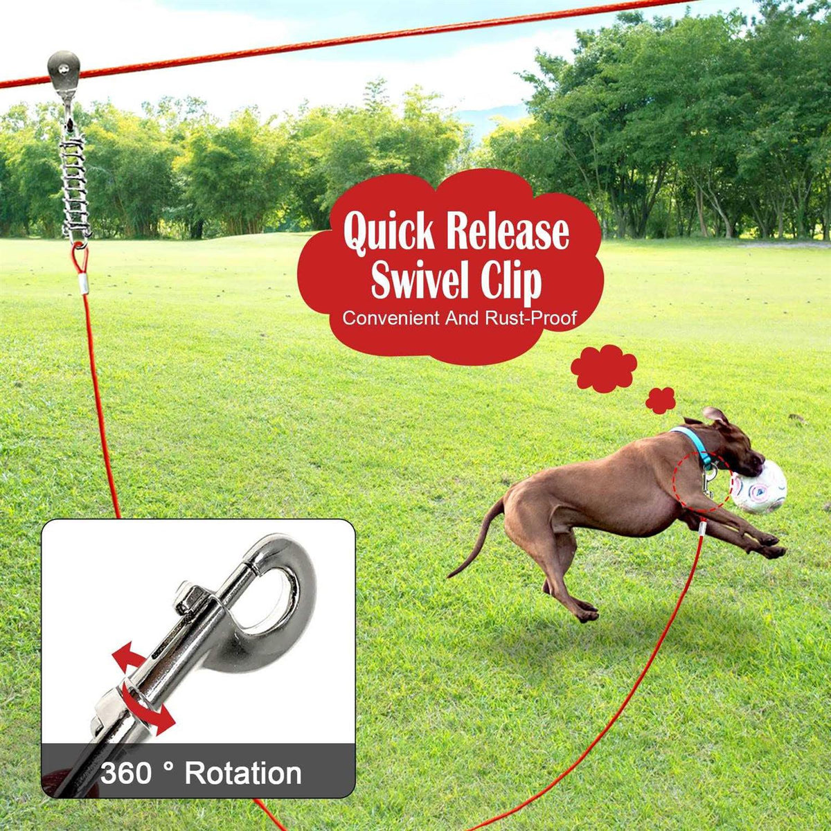 100FT Dog Tie Out Cable H177