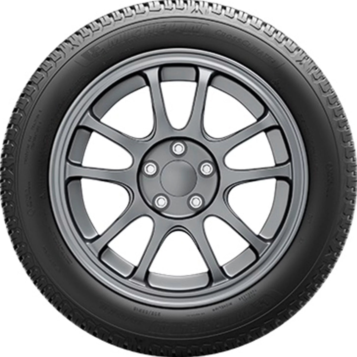 All Weather SUV/Crossover Tire Q876