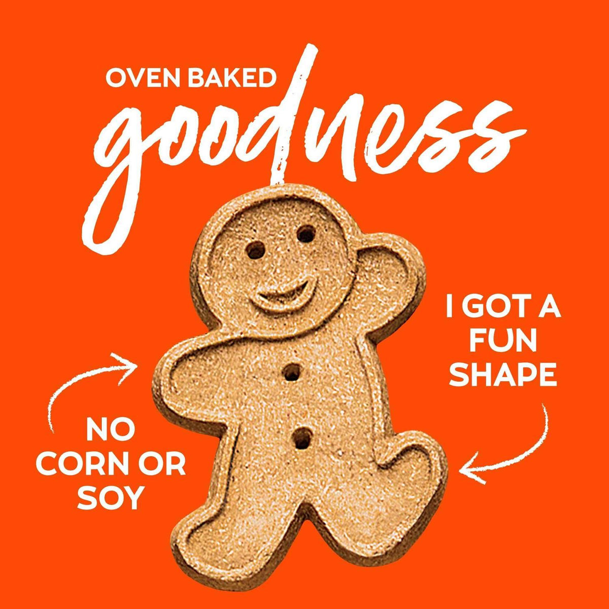 Peanut Butter Oven Baked Dog Treats J822908