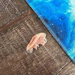 Hand Knit Wool Cat Toy with Catnip L1023