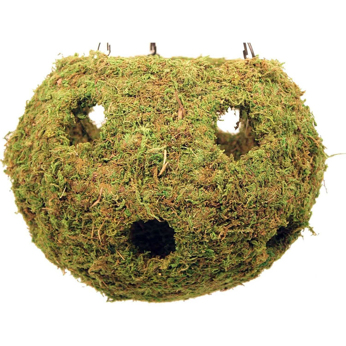 Mossy Cave M835469