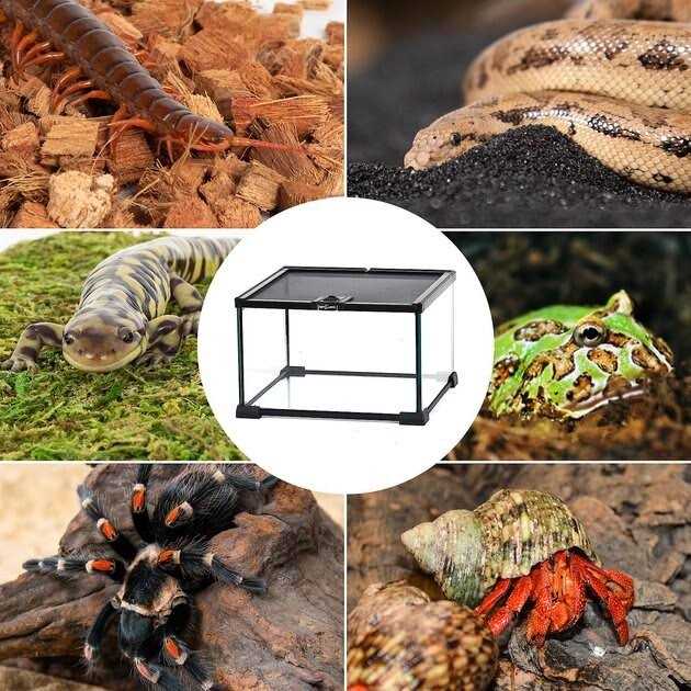 5 Gallon Terrarium Z58327