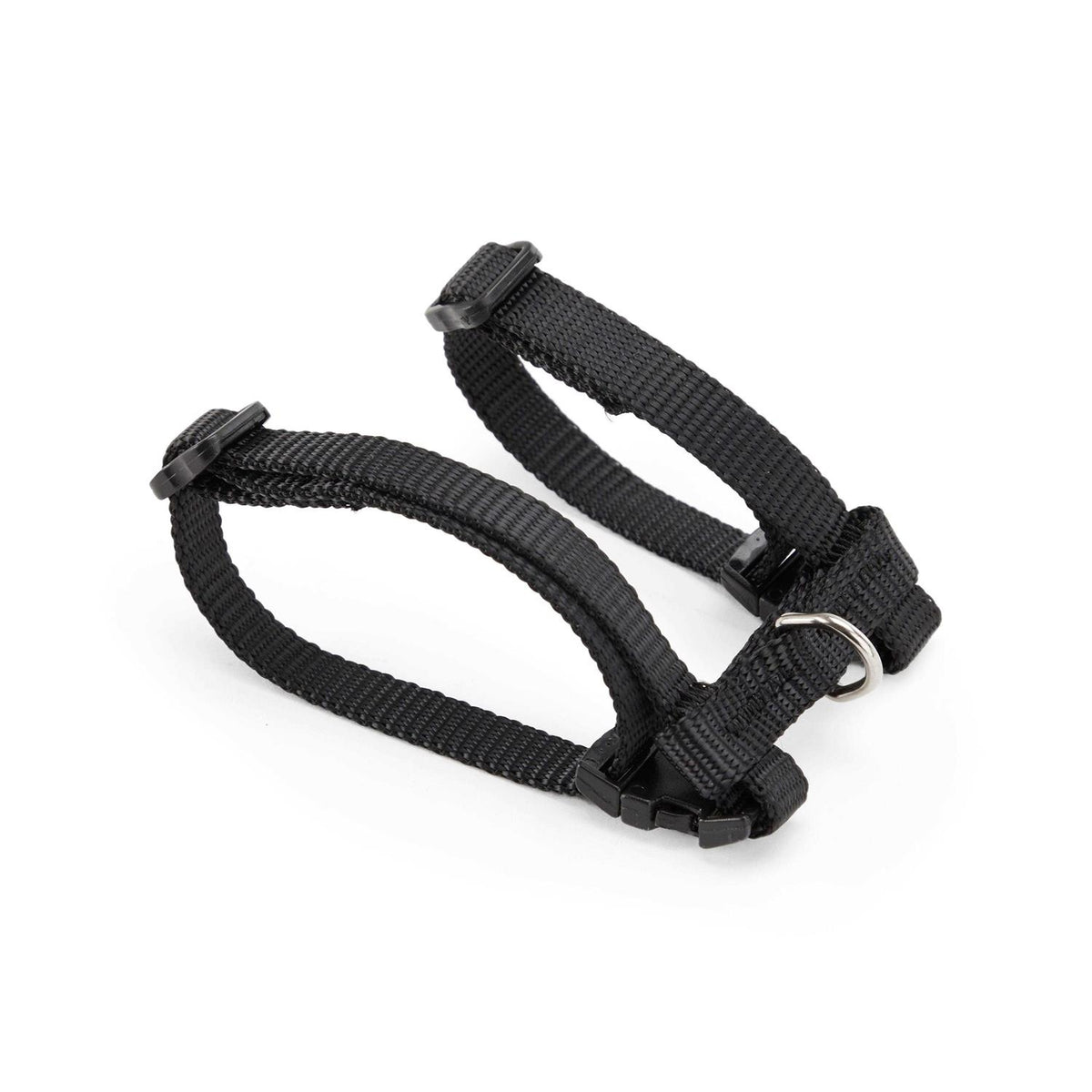Ferret Harness & Lead S79882