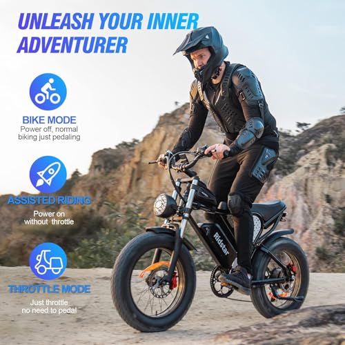 1000/2000W 20" Fat Tire 7-Speed Electric Bike W532